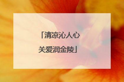 清凉沁人心 关爱润金陵