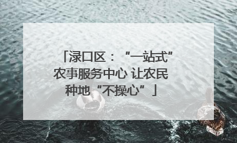 渌口区：“一站式”农事服务中心 让农民种地“不操心”