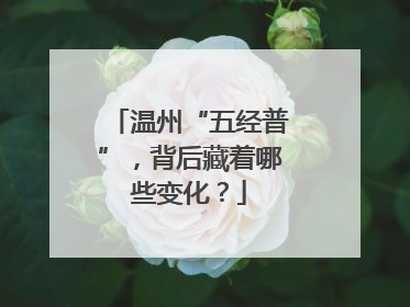 温州“五经普”，背后藏着哪些变化？