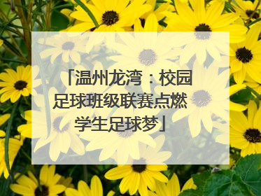 温州龙湾：校园足球班级联赛点燃学生足球梦
