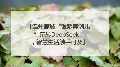 温州鹿城“银龄弄潮儿”玩转DeepSeek，智慧生活触手可及