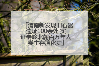 渭南新发现旧石器遗址100余处 实证秦岭北麓百万年人类生存演化史