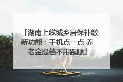 湖南上线城乡居保补缴新功能：手机点一点 养老金提档不用跑腿