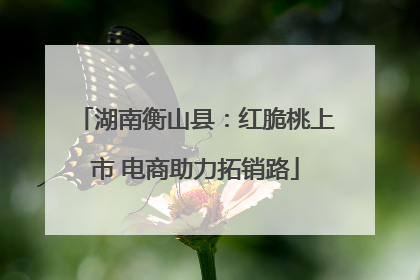 湖南衡山县：红脆桃上市 电商助力拓销路
