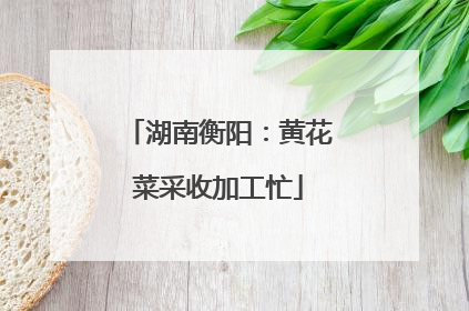 湖南衡阳：黄花菜采收加工忙