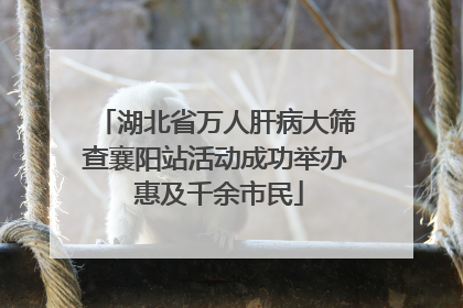 湖北省万人肝病大筛查襄阳站活动成功举办 惠及千余市民