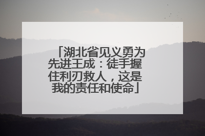 湖北省见义勇为先进王成：徒手握住利刃救人，这是我的责任和使命