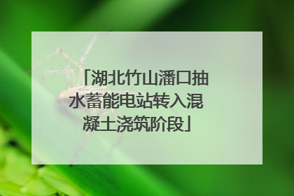 湖北竹山潘口抽水蓄能电站转入混凝土浇筑阶段