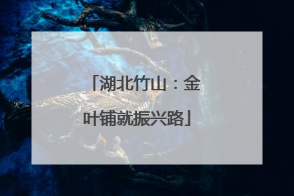 湖北竹山：金叶铺就振兴路