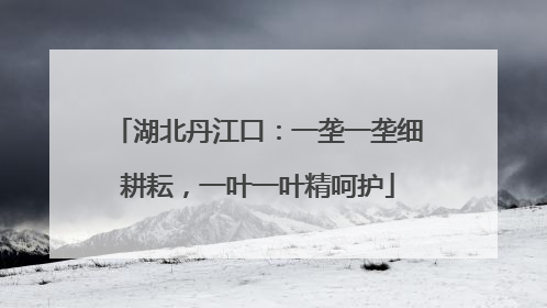 湖北丹江口：一垄一垄细耕耘，一叶一叶精呵护