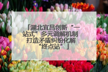 湖北宜昌创新“一站式”多元调解机制 打造矛盾纠纷化解“终点站”