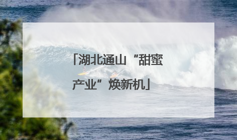 湖北通山“甜蜜产业”焕新机