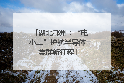 湖北鄂州：“电小二”护航半导体集群新征程