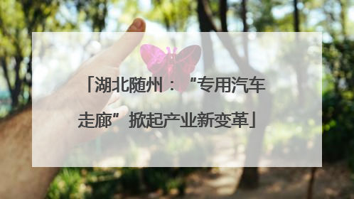 湖北随州：“专用汽车走廊”掀起产业新变革