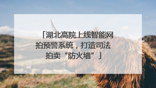 湖北高院上线智能网拍预警系统，打造司法拍卖“防火墙”