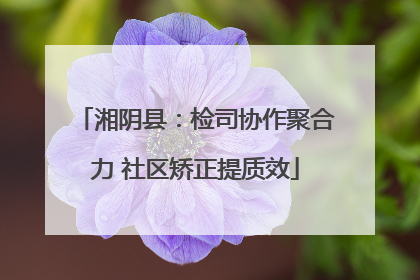 湘阴县：检司协作聚合力 社区矫正提质效