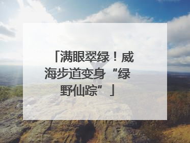满眼翠绿！威海步道变身“绿野仙踪”