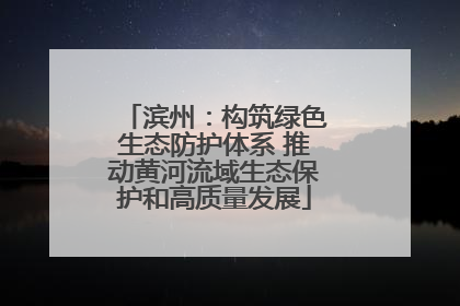 滨州：构筑绿色生态防护体系 推动黄河流域生态保护和高质量发展