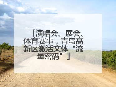 演唱会、展会、体育赛事，青岛高新区激活文体“流量密码”