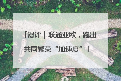 漫评｜联通亚欧，跑出共同繁荣“加速度”