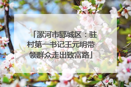 漯河市郾城区：驻村第一书记王元明带领群众走出致富路