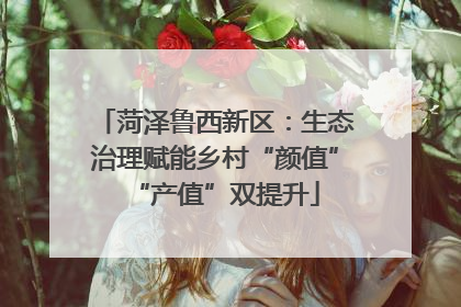 菏泽鲁西新区：生态治理赋能乡村“颜值”“产值”双提升