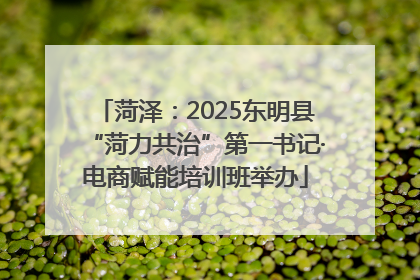 菏泽：2025东明县“菏力共治”第一书记·电商赋能培训班举办