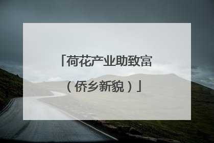 荷花产业助致富（侨乡新貌）