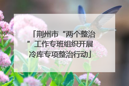 荆州市“两个整治”工作专班组织开展冷库专项整治行动