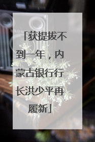 获提拔不到一年，内蒙古银行行长洪少平再履新