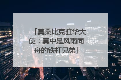 莫桑比克驻华大使：莫中是风雨同舟的铁杆兄弟