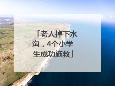 老人掉下水沟，4个小学生成功施救