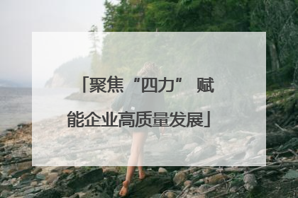 聚焦“四力” 赋能企业高质量发展