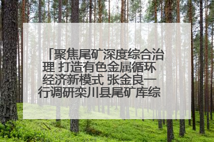 聚焦尾矿深度综合治理 打造有色金属循环经济新模式 张金良一行调研栾川县尾矿库综合治理工作