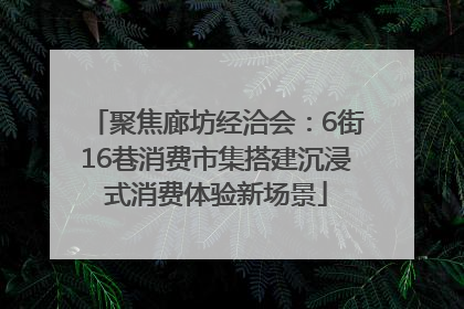 聚焦廊坊经洽会：6街16巷消费市集搭建沉浸式消费体验新场景