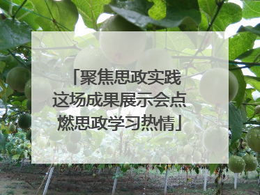 聚焦思政实践 这场成果展示会点燃思政学习热情