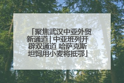 聚焦武汉中亚外贸新通道│中亚班列开辟双通道 哈萨克斯坦饲用小麦将抵鄂