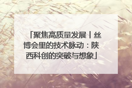 聚焦高质量发展丨丝博会里的技术脉动：陕西科创的突破与想象