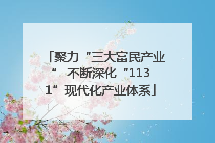 聚力“三大富民产业” 不断深化“1131”现代化产业体系
