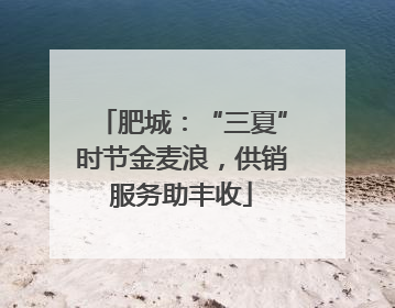 肥城：“三夏”时节金麦浪，供销服务助丰收