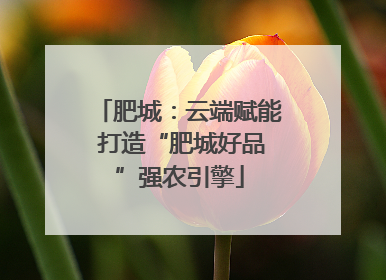 肥城：云端赋能 打造“肥城好品”强农引擎
