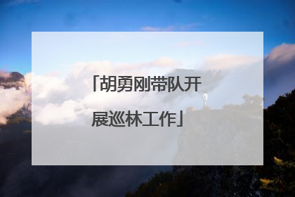胡勇刚带队开展巡林工作