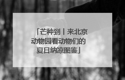 芒种到丨来北京动物园看动物们的夏日纳凉图鉴