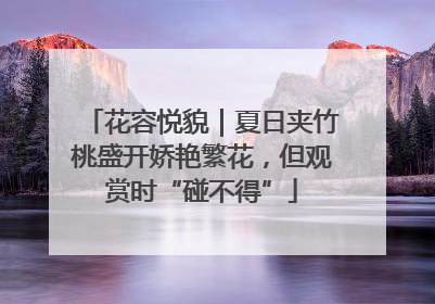 花容悦貌｜夏日夹竹桃盛开娇艳繁花，但观赏时“碰不得”