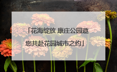 花海绽放 康庄公园邀您共赴花园城市之约