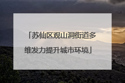 苏仙区观山洞街道多维发力提升城市环境