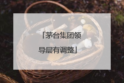 茅台集团领导层有调整