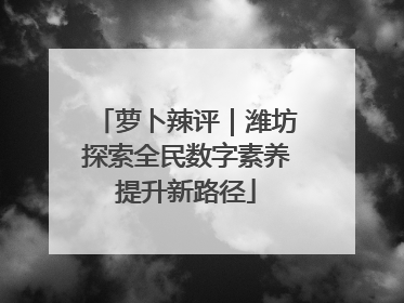 萝卜辣评｜潍坊探索全民数字素养提升新路径