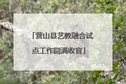 营山县艺教融合试点工作圆满收官