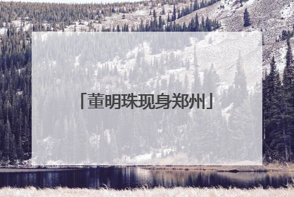 董明珠现身郑州